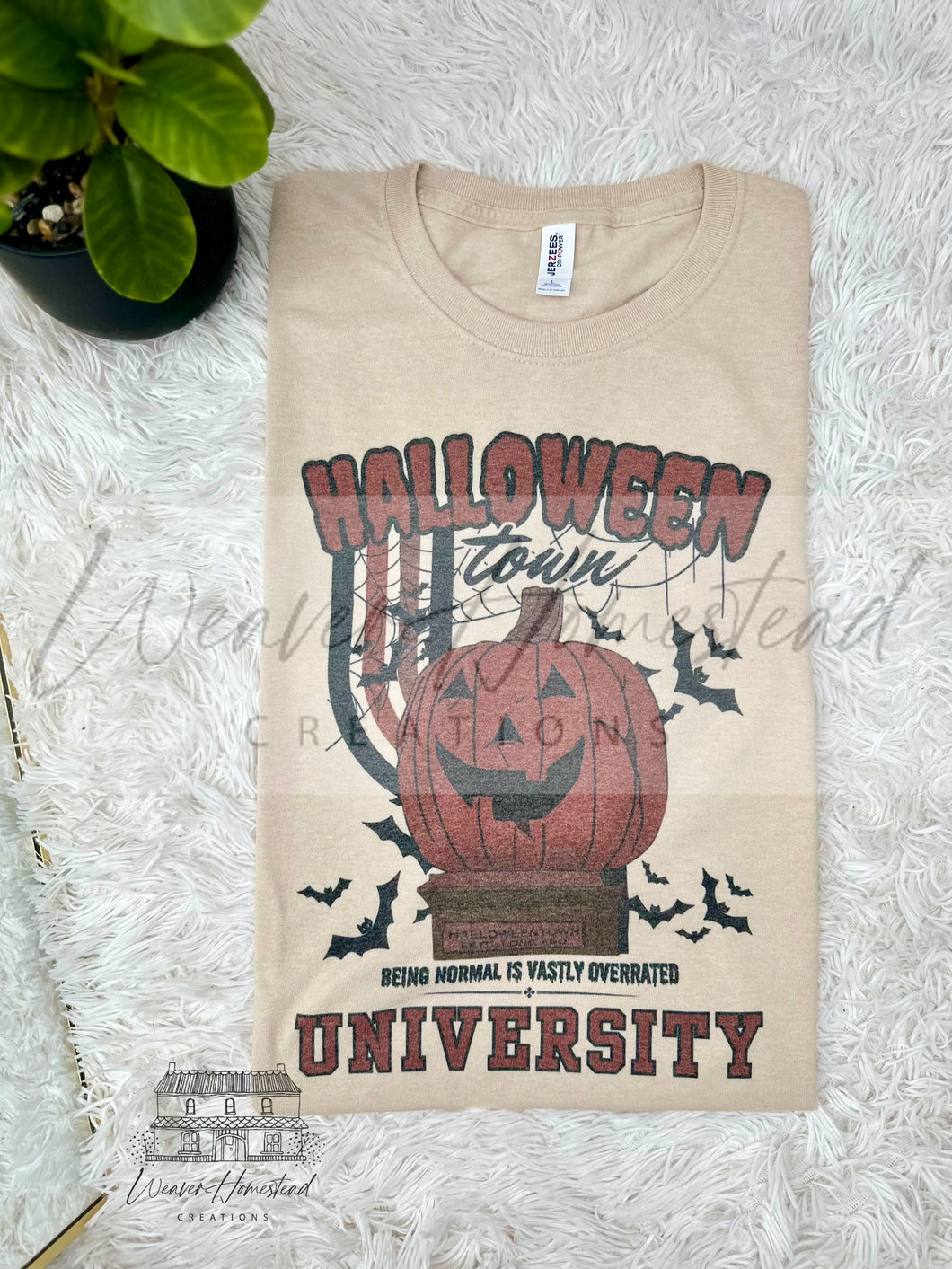 Halloweentown University 24