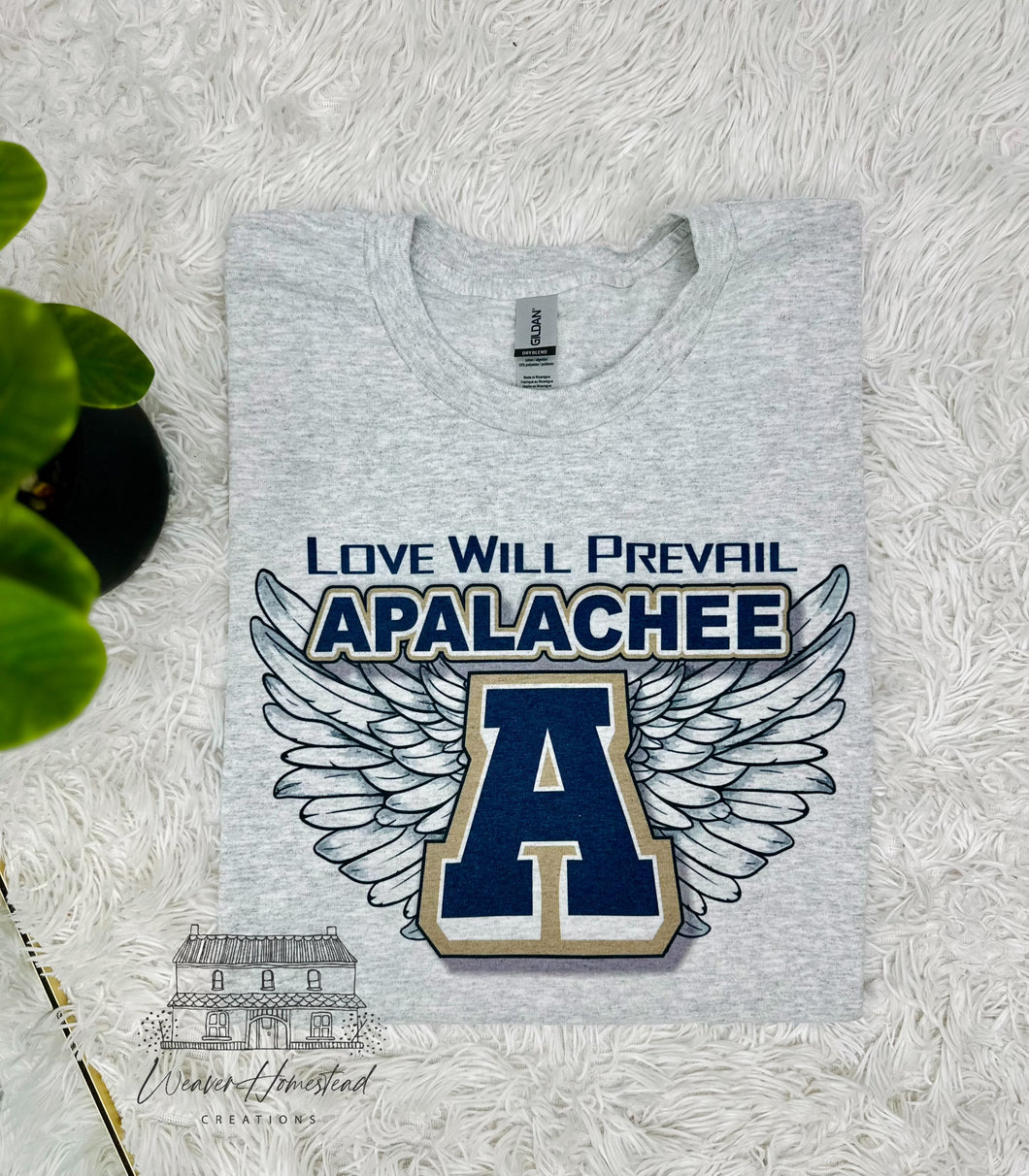 Apalachee Wings - Love Will Prevail