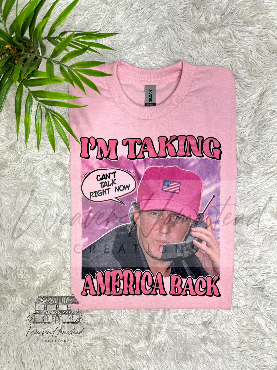 Taking America Back, Can’t Talk Right Now