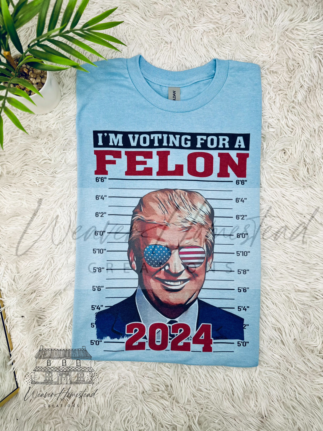 Felon 2024 - Trump