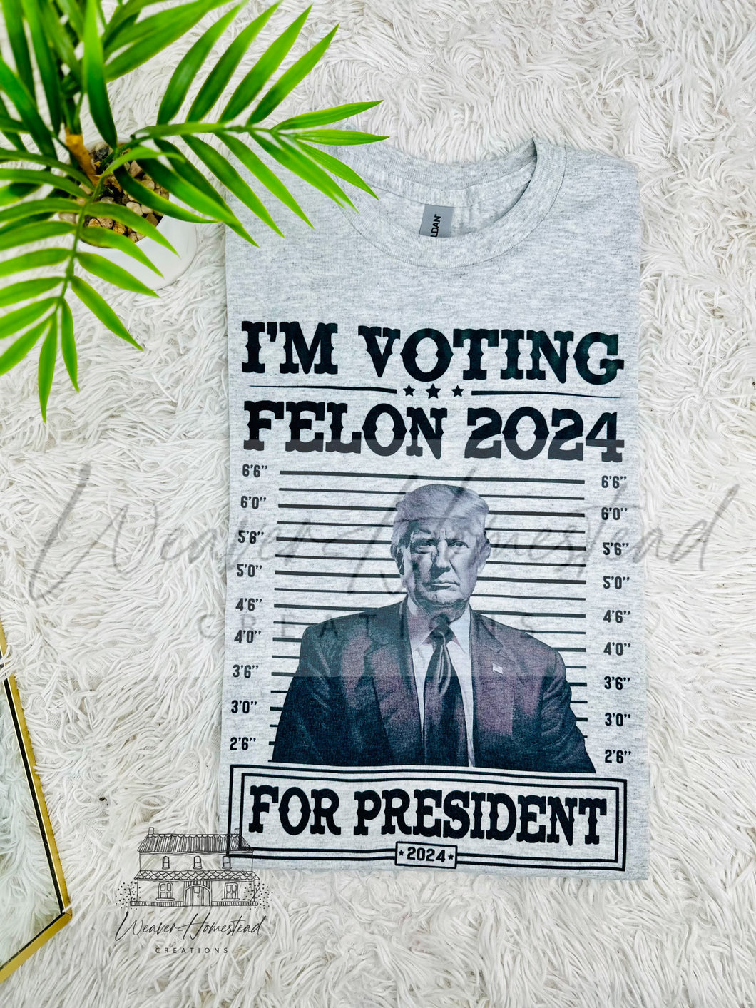 I’m Voting Felon For President - TRUMP